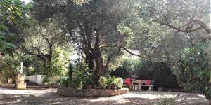 Apartman - Makarska
