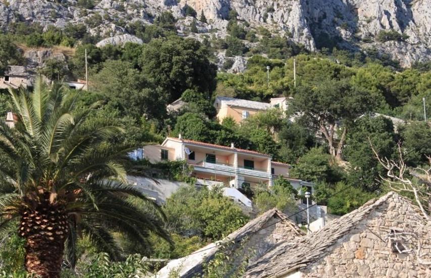 Apartment Ruzmarin