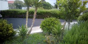 Appartamento - Bibinje