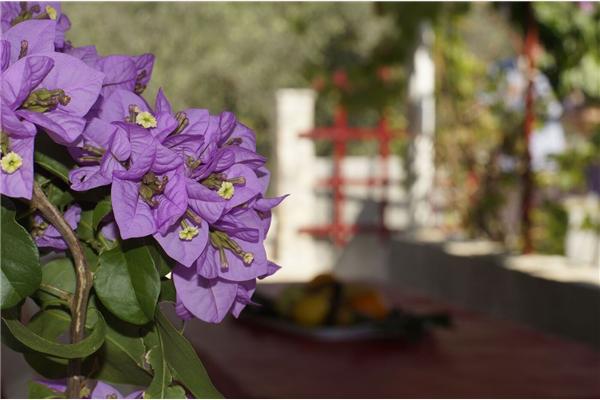 House K1, for 2 persons