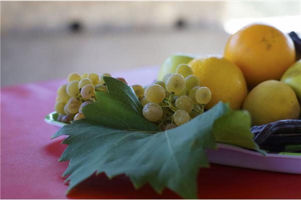 House K1, for 2 persons