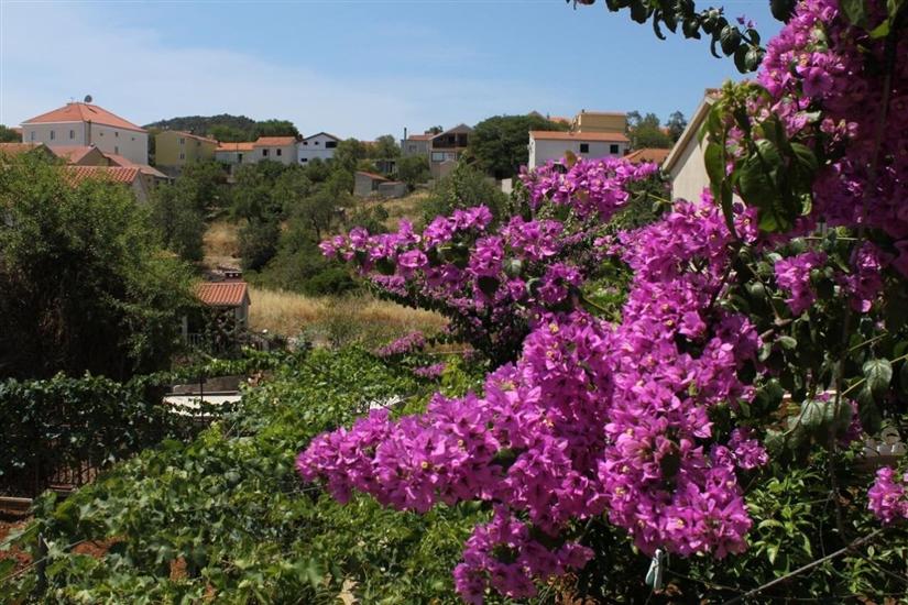 Apartment A2, for 3 persons