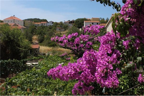 Apartment A2, for 3 persons