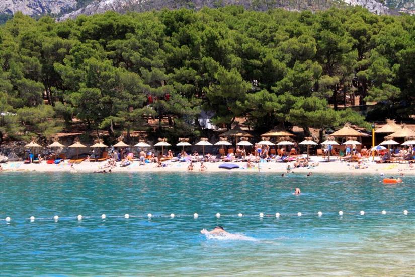 Apartments and Room Goran