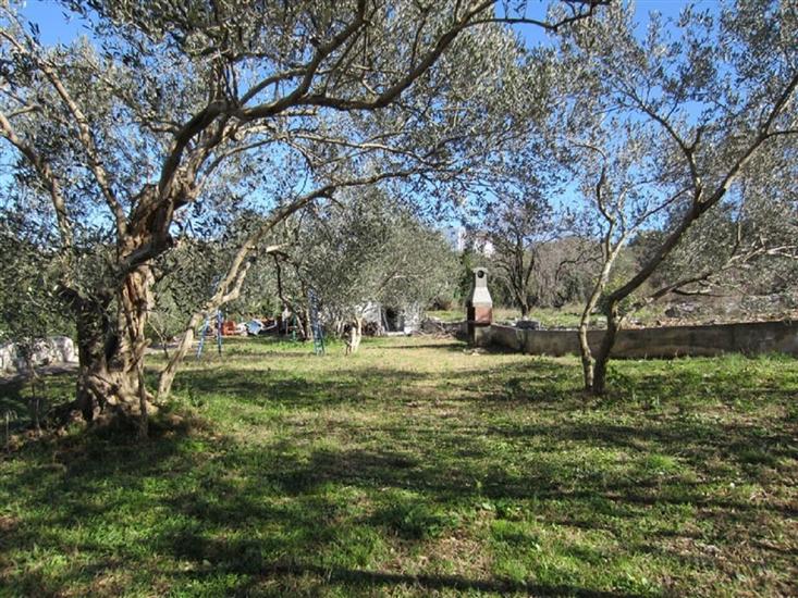 Apartments Miroslava