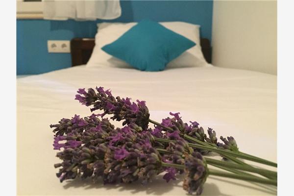 Apartman A1, na 4 osebe