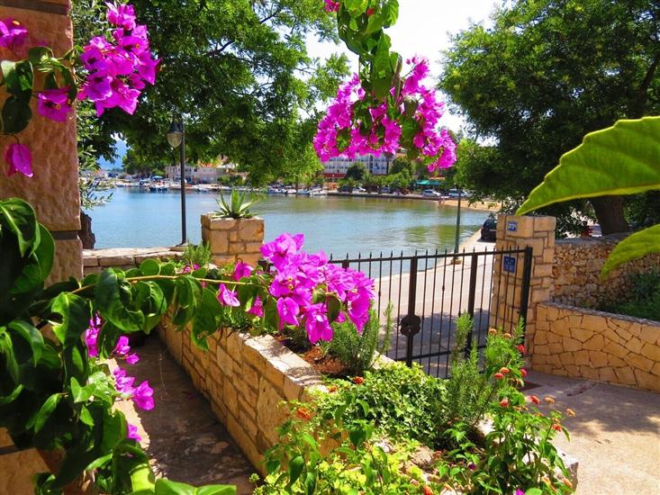 House Villa Barakokula