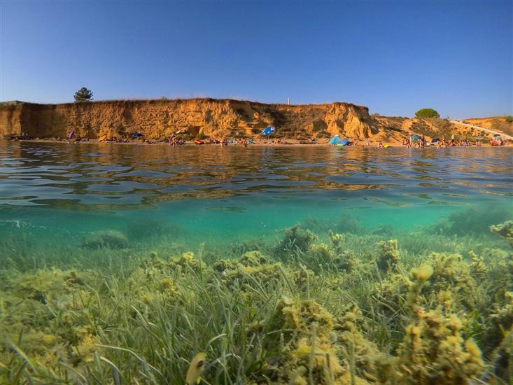 House Oasis Village Villa