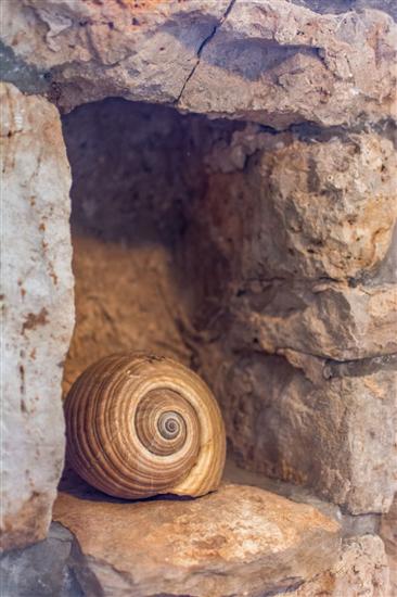 House K1, for 4 persons