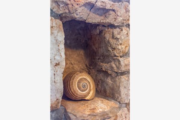 House K1, for 4 persons