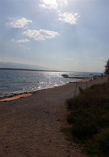 Apartment Island of love