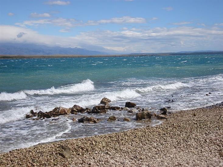 Apartment Island of love