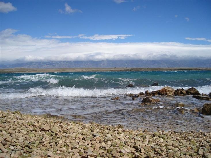 Apartment Island of love