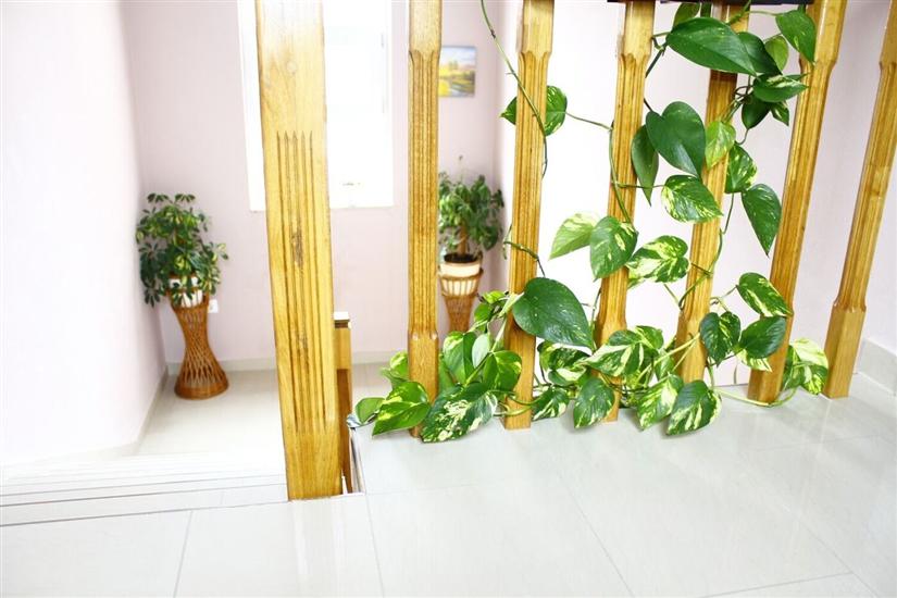 Apartments Old Stone: