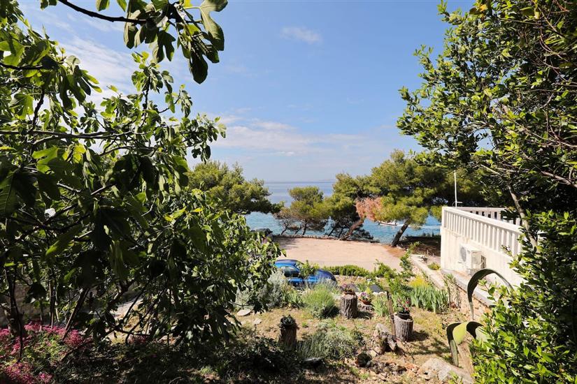 Apartments Djurdja by the sea