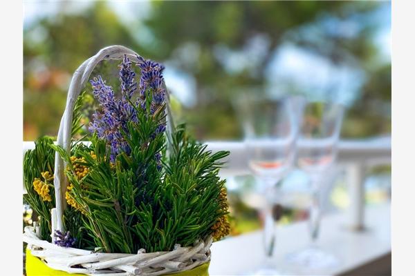 Apartman A1, na 4 osebe