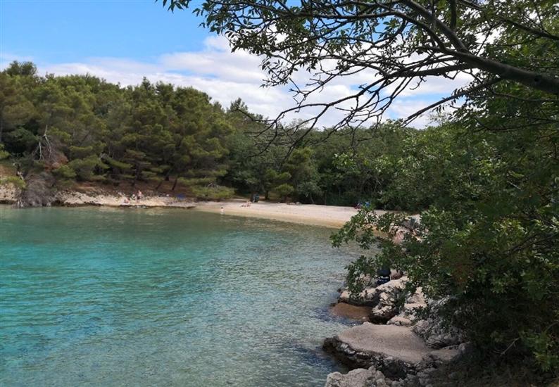 Apartments Insula Insule