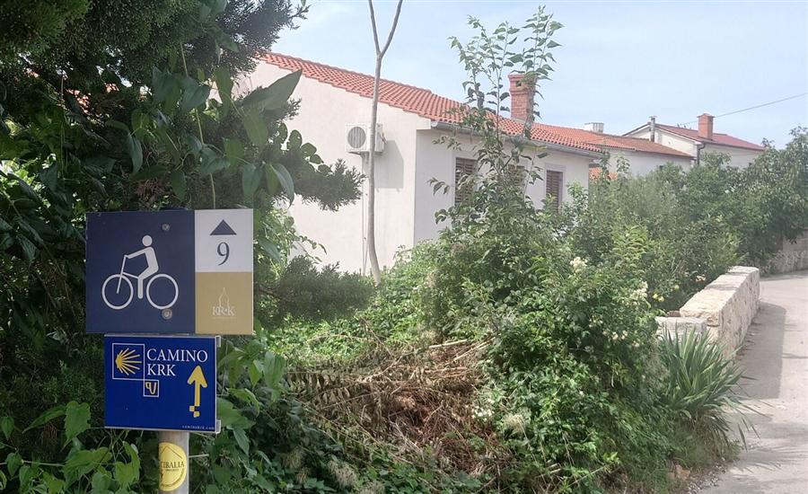 Apartments Insula Insule