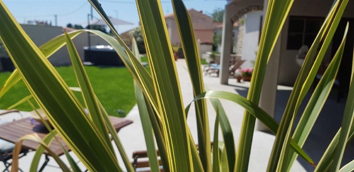 Apartments and Room Perstel