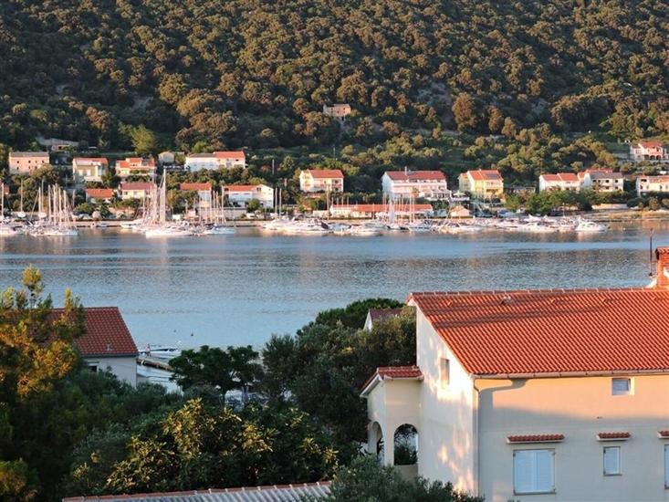 Apartments and Room Mario