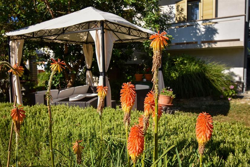 Apartments and Rooms Frane