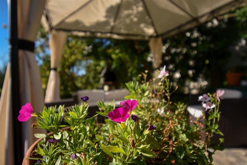 Apartments and Rooms Frane