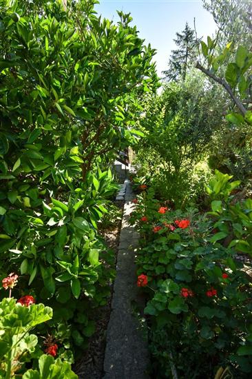 Apartments and Rooms Frane