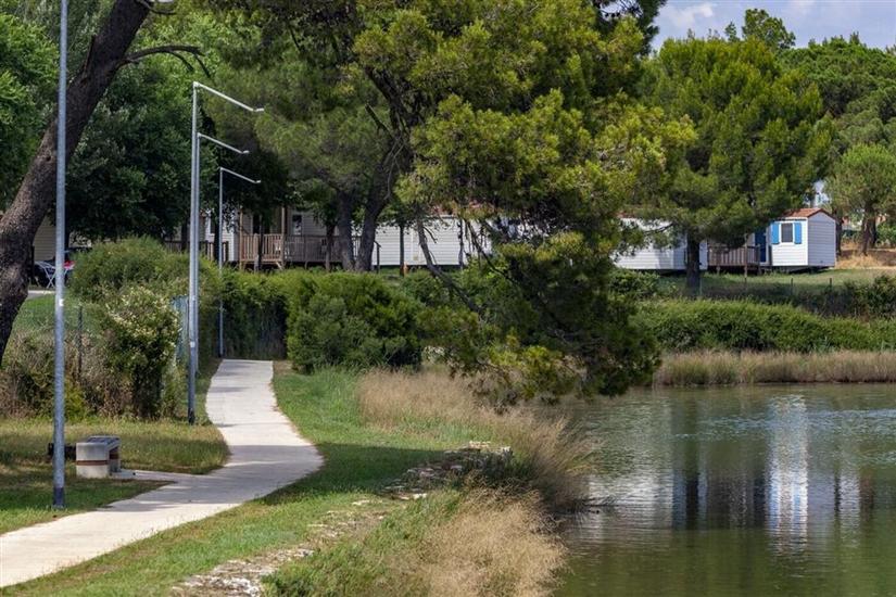 Apartment M&A Apartment