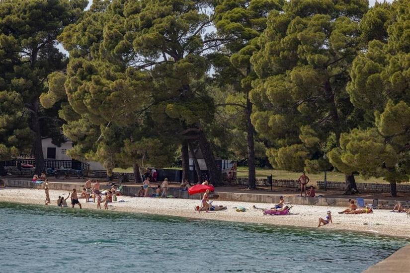 Apartment M&A Apartment