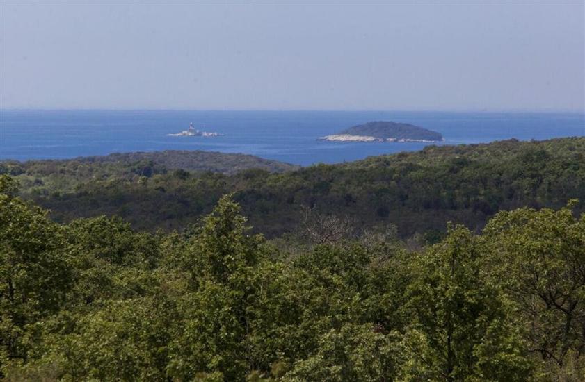 House Villa Ana, Bale and Rovinj