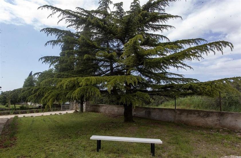 House Villa Ana, Bale and Rovinj