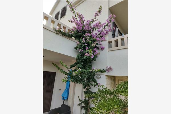 Apartment A3, for 3 persons