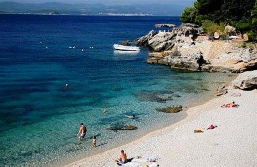 Apartments Vida with garden: