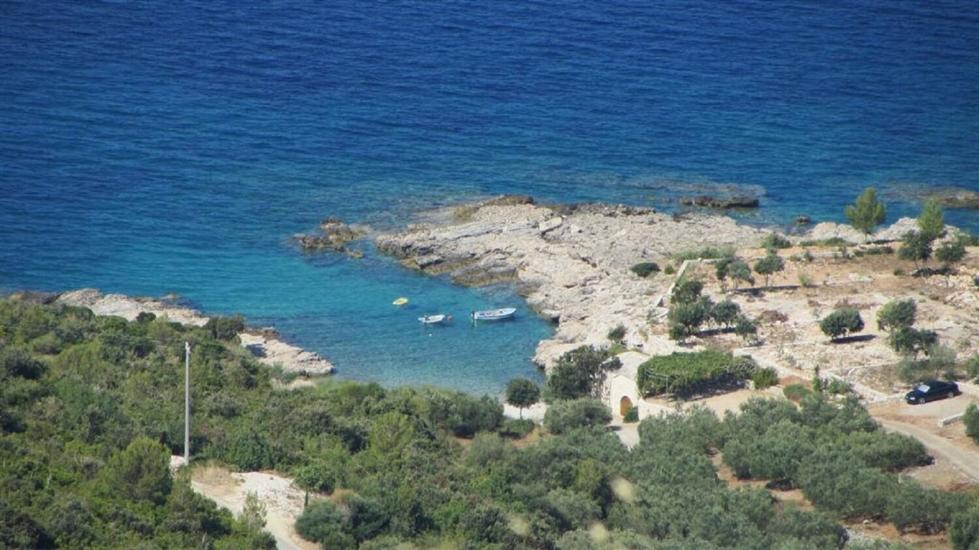 Apartments Vida with garden: