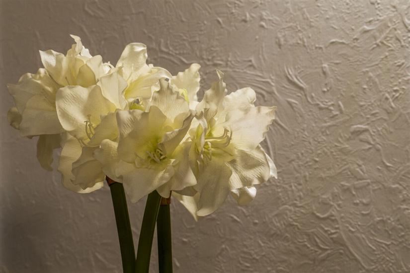 Apartment A1, for 8 persons