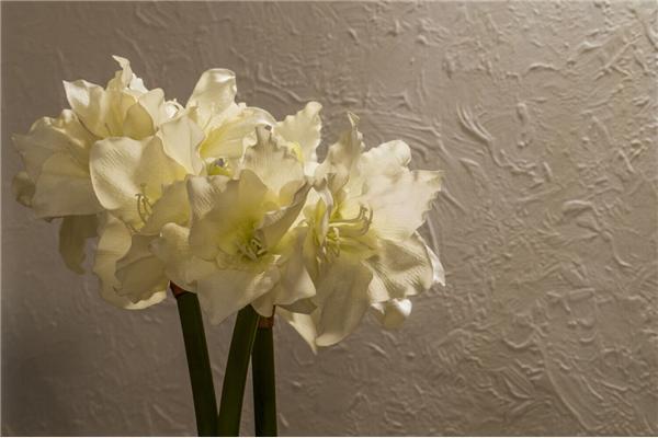 Apartment A1, for 8 persons