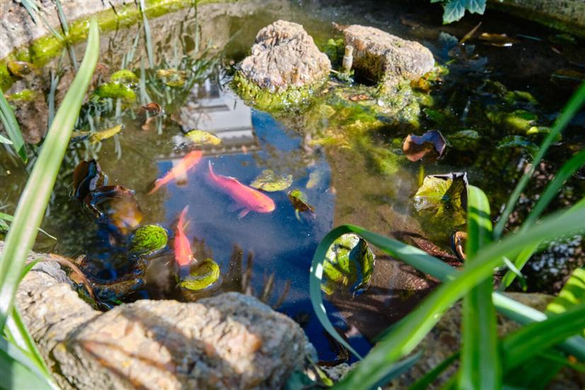 Apartments Old Sailor s House