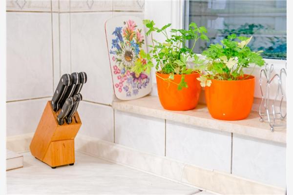 Apartment A1, for 8 persons