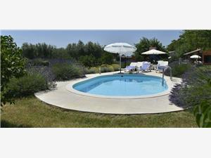 House Gurianum Vodnjan, Size 104.00 m2, Accommodation with pool