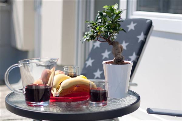 Apartment A1, for 3 persons