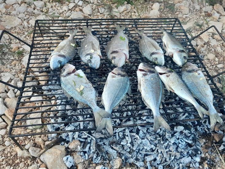 Apartment Villageway