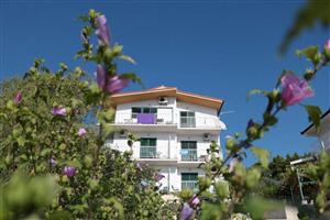Apartment - Gradac