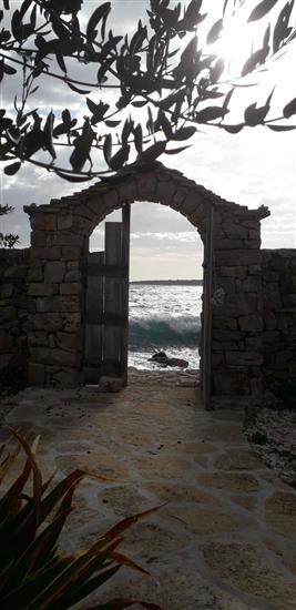 House Robinson Tiziana