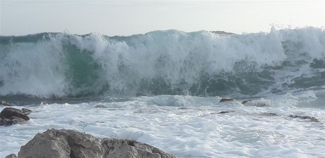 House Robinson Tiziana