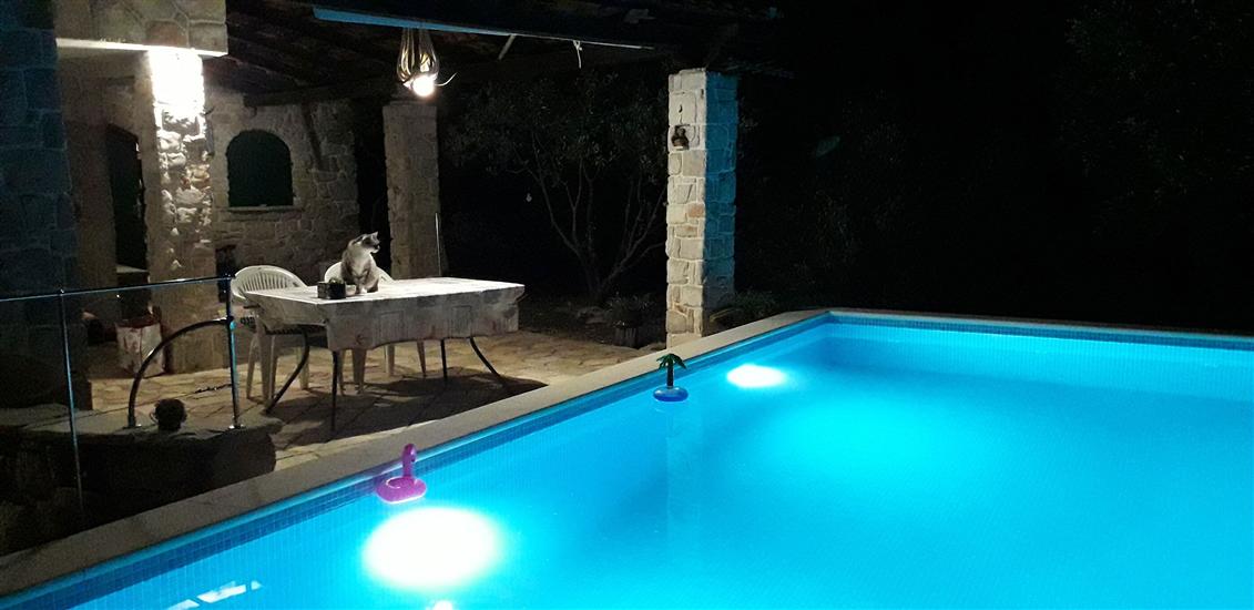 House Robinson Tiziana