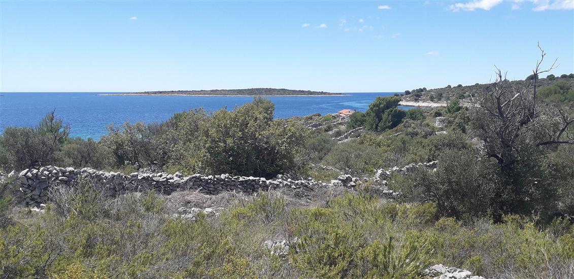 House Robinson Tiziana