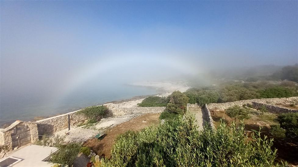 House Robinson Tiziana