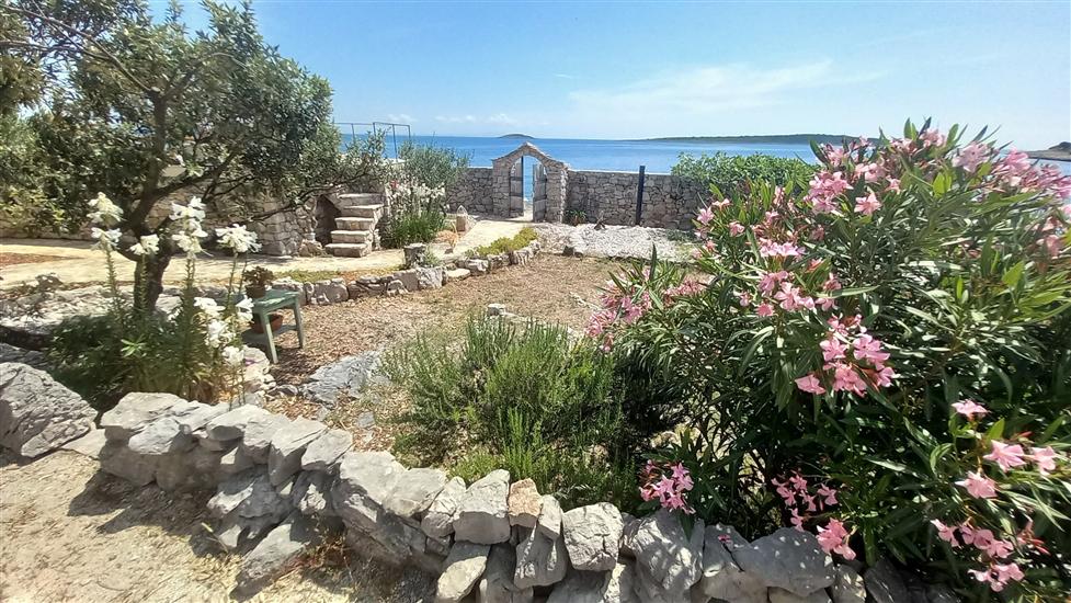 House Robinson Tiziana