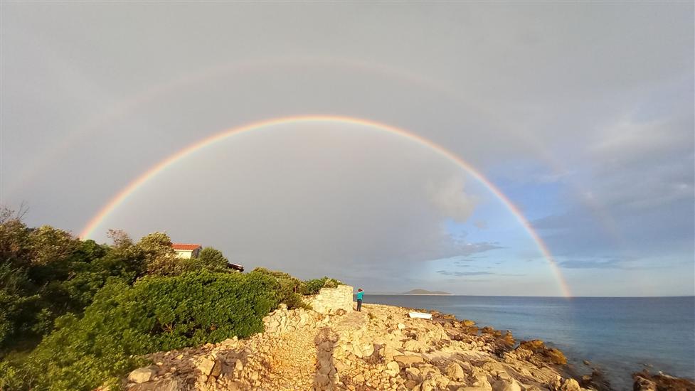 House Robinson Tiziana