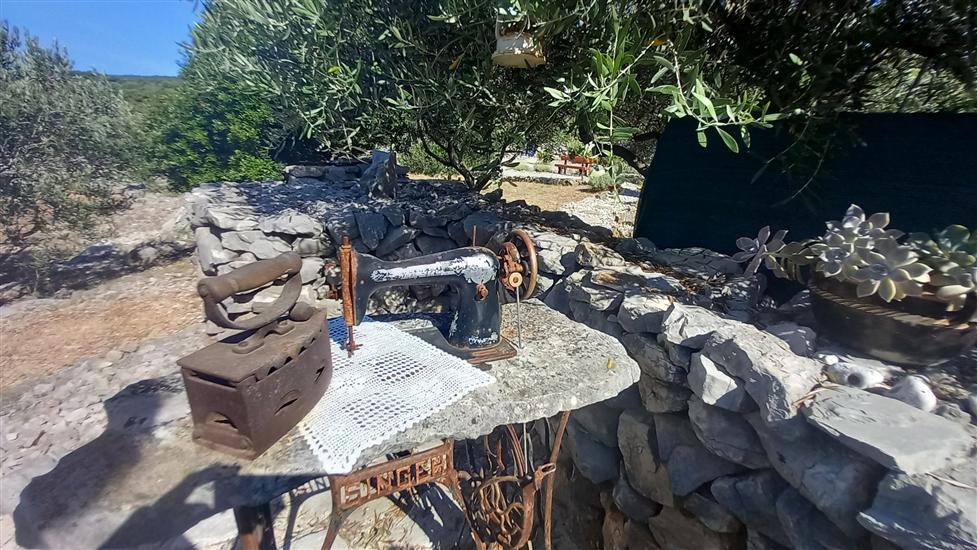 House Robinson Tiziana